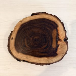 Rodaja Tronco